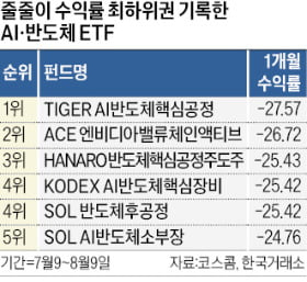  수익률 효자에서 골칫덩이 된 AI ETF…뒤늦게 탄 개미 '피눈물' 