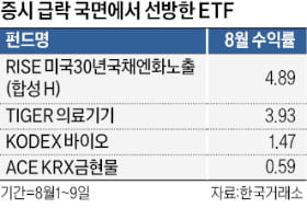  수익률 효자에서 골칫덩이 된 AI ETF…뒤늦게 탄 개미 '피눈물' 