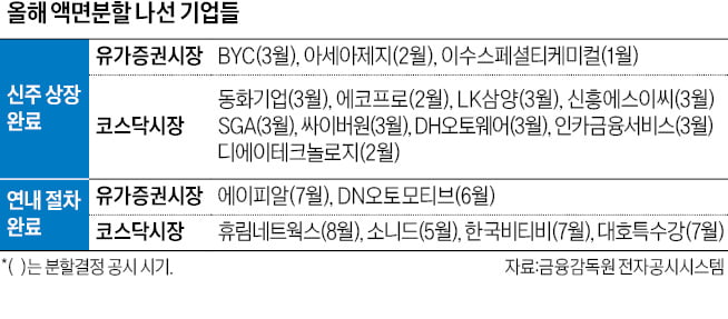 약발 떨어진 액면분할…올해 주가부양 사례 '0'