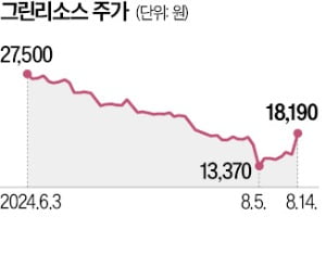 '코팅 강자' 그린리소스 "반도체 미세화가 기회"