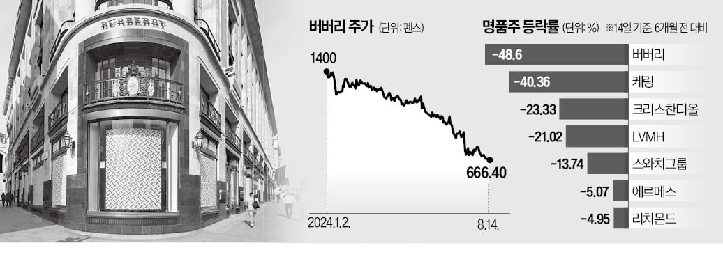 '큰손' 中 지갑 닫자…명품株 끝모를 추락