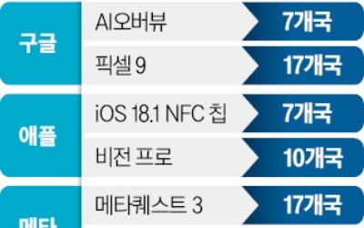 韓시장 피하는 구글·애플 "라이벌 너무 많아"