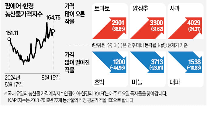 배추 한포기 6000원 넘었다…역대급 폭염에 채소값 '들썩'