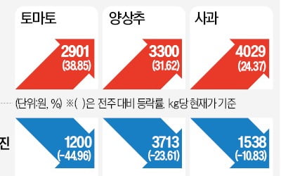 배추 한포기 6000원 넘었다…역대급 폭염에 채소값 '들썩'