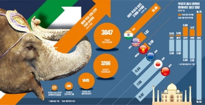 글로벌 하락장도 '달리는 코끼리'를 멈추게 할 순 없다