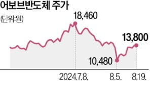 "가전용 반도체에 AI 탑재…내년 양산 돌입"