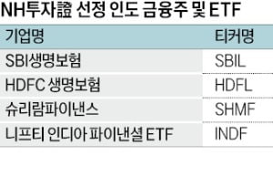 10년새 시총 8배 '쑥쑥' 질주하는 인도 금융株