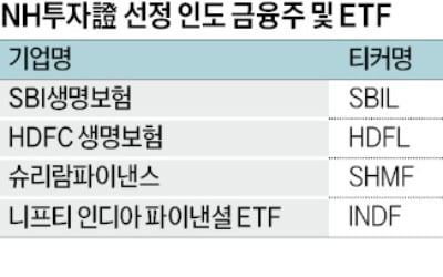 10년새 시총 8배 '쑥쑥' 질주하는 인도 금융株