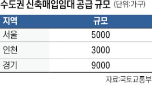 '6년 후 분양전환' 매입임대…내년까지 5만가구 공급한다