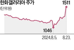 공개매수 나선 김동선, 한화갤러리아 16% 급등