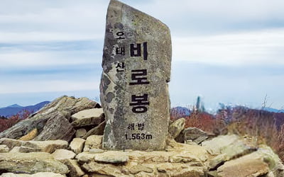 '꿈 정복' 더피크챌린지, 몽블랑 높이 4807m 오른다