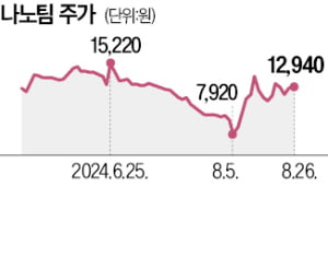 열폭주 방지 소재 개발한 나노팀…국산 기술로 전기차 화재 막는다