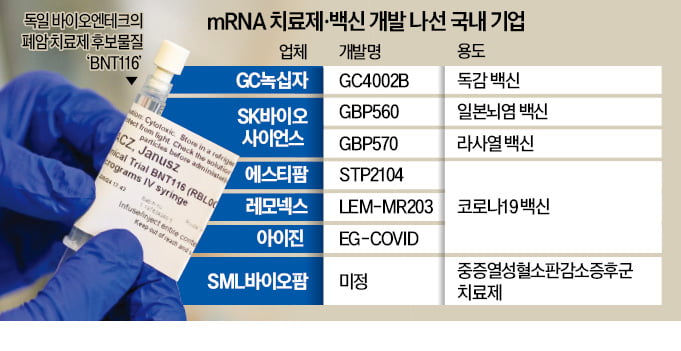 암 정복 나선 mRNA 카지노 룰렛판…獨, 폐암 치료제 임상 돌입