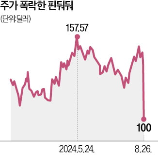 급성장 역풍 맞은 테무…주가 하루새 29% 폭락