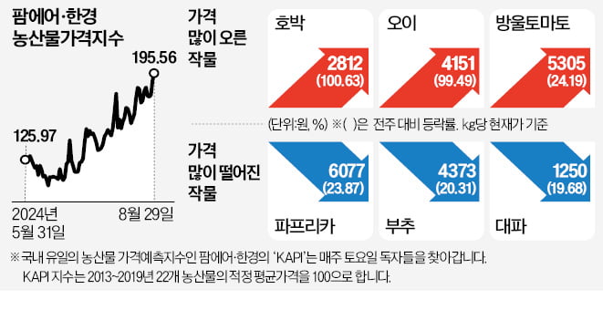 오이·호박 카지노 게임 종류, 1주 만에 두 배로 '껑충'