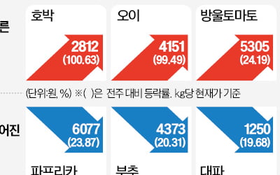 오이·호박 가격, 1주 만에 두 배로 '껑충'