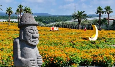 광복절 연휴, 22만 명 제주 몰린다