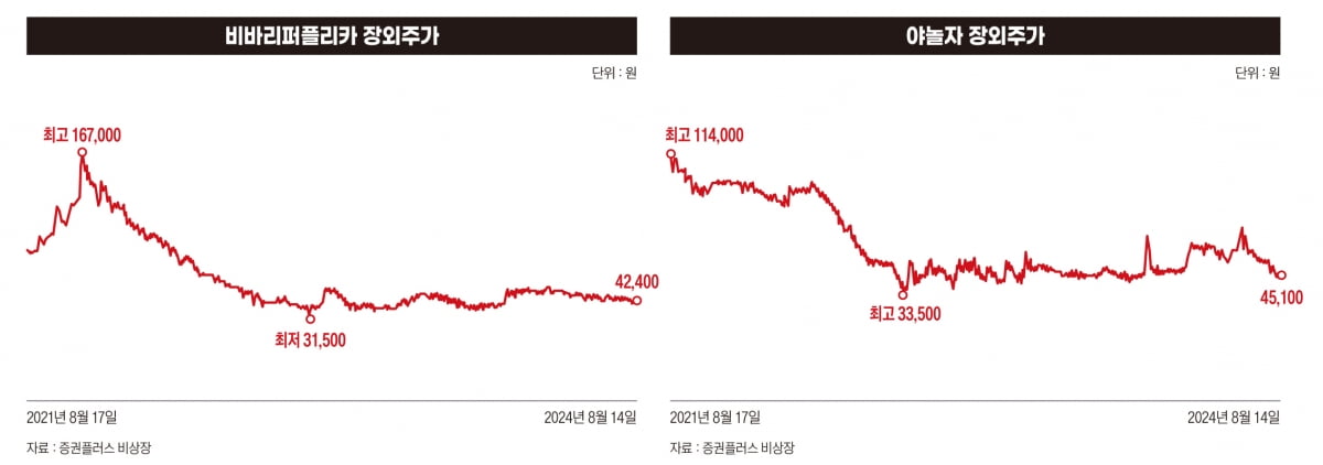 대기업 된 혁신의 상징과 사라진 신예, 나몰라라 정부까지…환장의 삼박자 [위기의 판교①] 