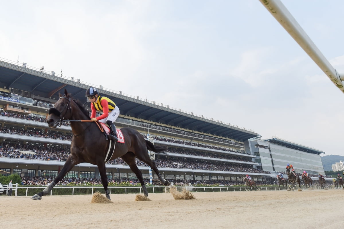 K경마의 글로벌 축제, 코리아컵&스프린트 3주 앞으로