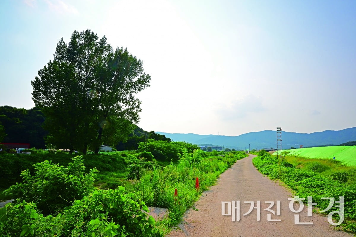 역사의 수레바퀴는 고즈넉한 마을을 굴지의 반도체 단지로 만들어 버린다.  

