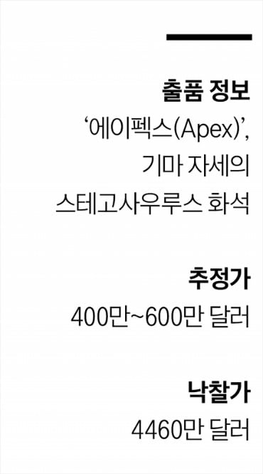 공룡 화석 '에이펙스(Apex)'