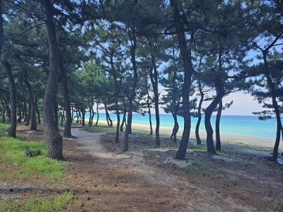 강릉 아파트 '오션시티 아이파크', 합리적 분양가 눈길