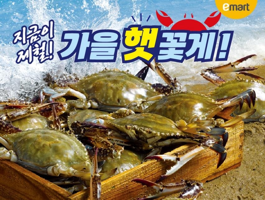 꽃게가 돌아왔다…대형마트, 금어기 끝난 꽃게 할인 경쟁(종합)