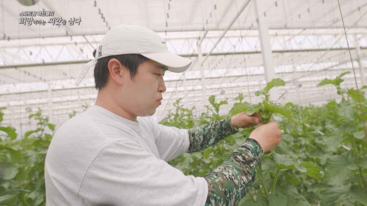 메가 FTA 시대, K-스마트팜 농업의 새로운 등불이 되다