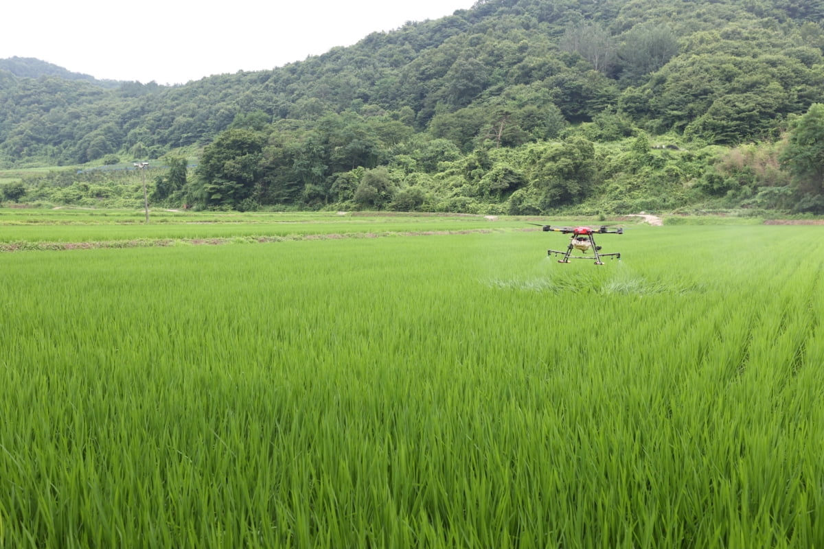 온라인 불법 농약 판매, 실시간으로 조사한다