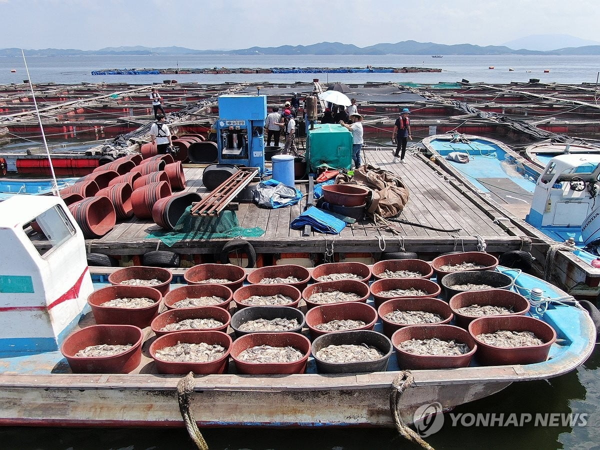 가축·생선 폭염 못 견뎌 수백만 마리 폐사