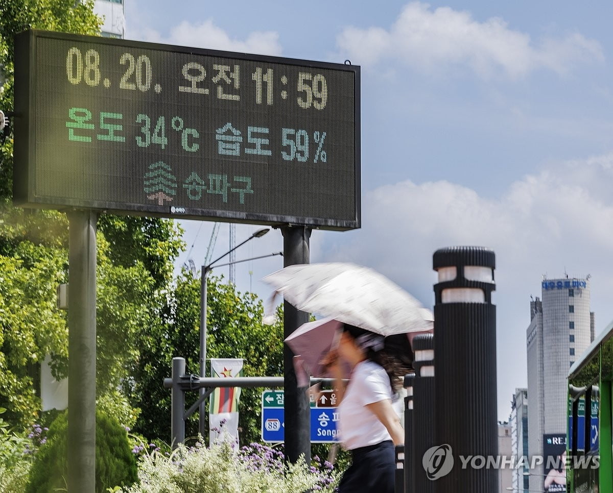 올여름 유독 덥더니...온열질환자 '역대 2위'