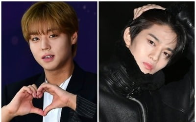 박지훈은 들어가고, 배진영은 나가고…데뷔 7주년 앞둔 워너원의 '오늘' [TEN이슈]