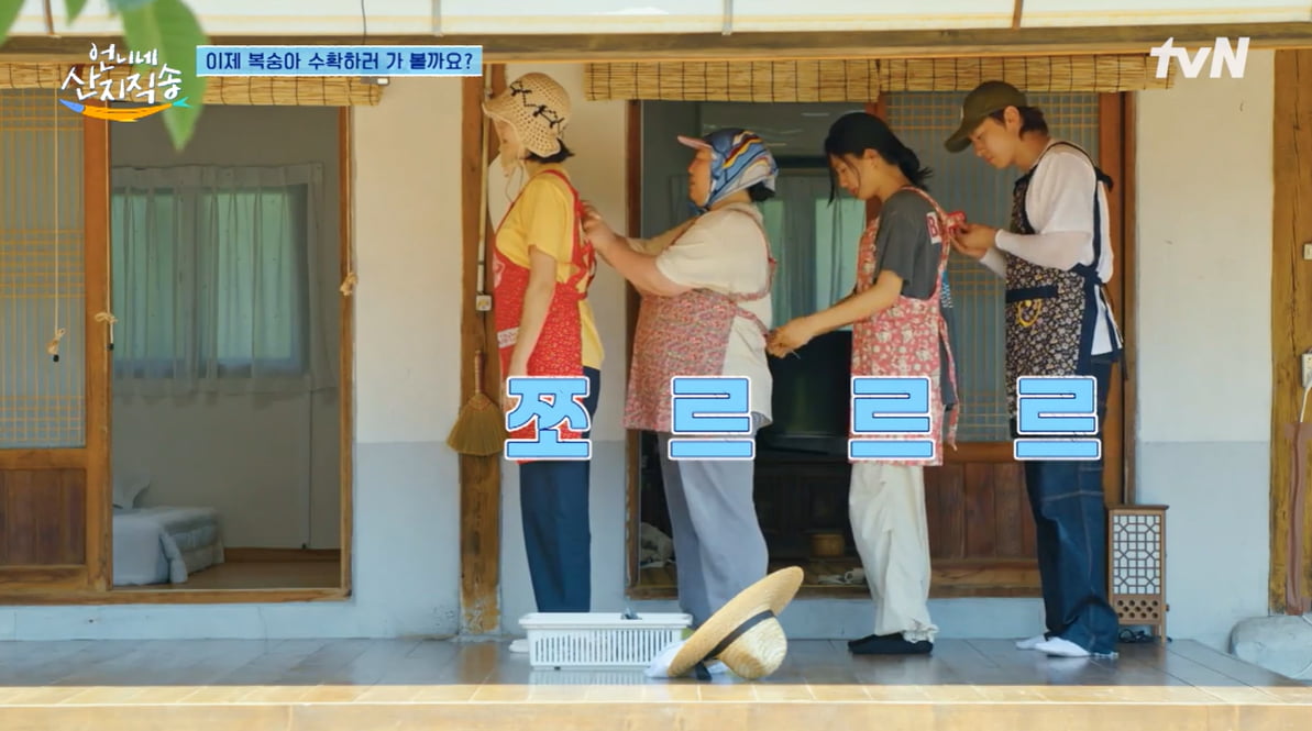 [종합] 안은진 "너 내가 인생 쓴맛 보여줄게"…덱스, 제대로 당했다('언니네')