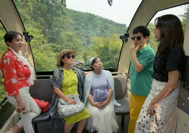 '외국인♥' 전수경 "결혼식 당일 교통사고, 병원서 신혼여행"('같이 삽시다')