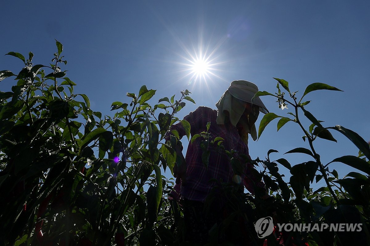 폭염에 토요일 하루 온열질환으로 3명 사망…올해 누적 11명