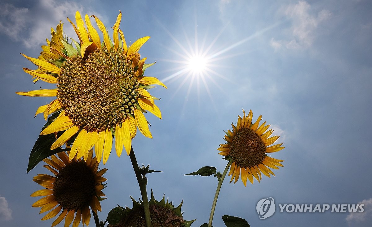 폭염에 토요일 하루 온열질환으로 3명 사망…올해 누적 11명