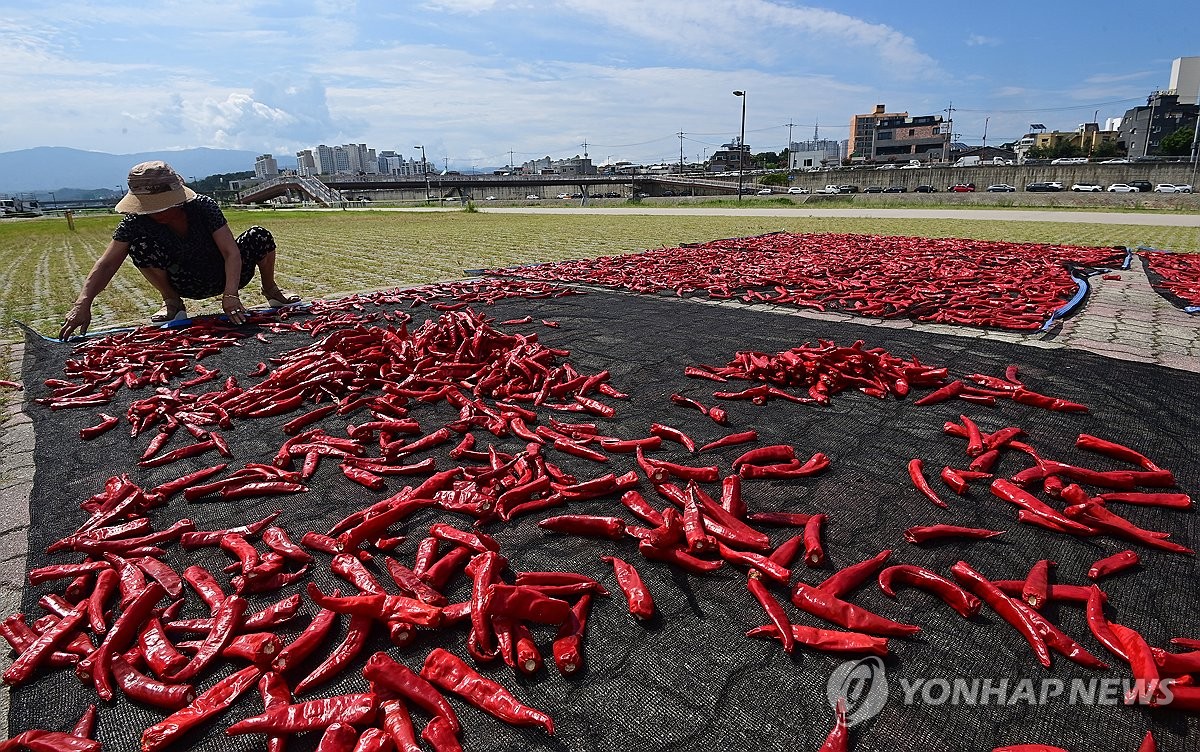 서울 17일 연속 열대야…광복절 넘어서까지 덥다