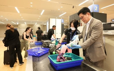 멕시코 직항 노선, 2년 만에 재개…탑승자 마약 전수 검사