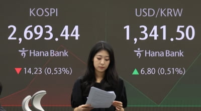 코스피, 0.6% 하락하며 2690선에서 개장…대형주 '약세'