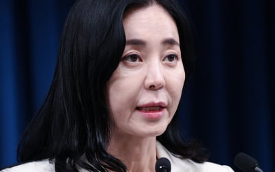 대통령실 "민주, 있지도 않은 '독도 지우기' 의심…속내 뭐냐"