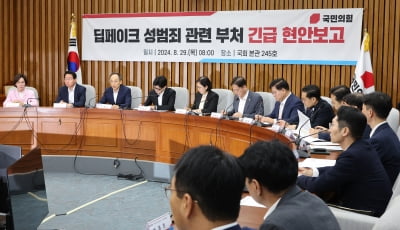 딥페이크 범죄 팔 걷은 당정 카지노 찰리;허위 영상물 형량 7년으로 강화카지노 찰리;