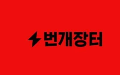 번개장터 구매자 96% "사기 방지 위해 안전결제 필요"