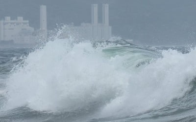 제주도, 태풍 비상근무 2단계로 격상…"상황발생에 대응"