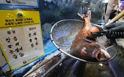 자취 감춘 '세슘우럭' 괴담…日수산물 '더 싸게 더 많이' 들어왔다