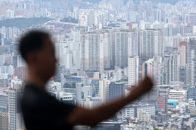 서울 온라인 카지노 합법 사이트 한 달 만에 2억 뛰더니…"그 가격엔 안 살래요"