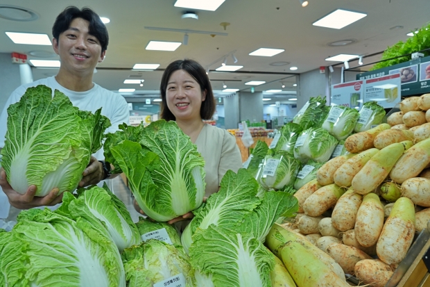 고랭지 안반데기 햇배추 4천원대로 만나보세요