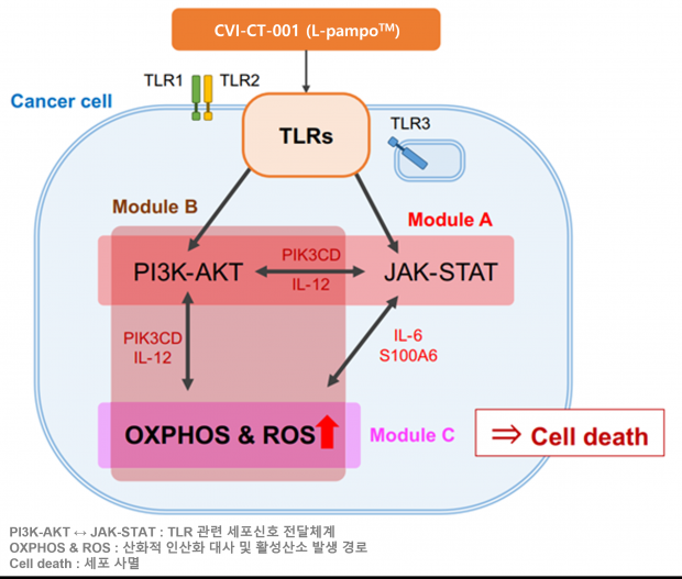 AI 활용해 면역항암제 후보물질의 새로운 항암 기전 규명