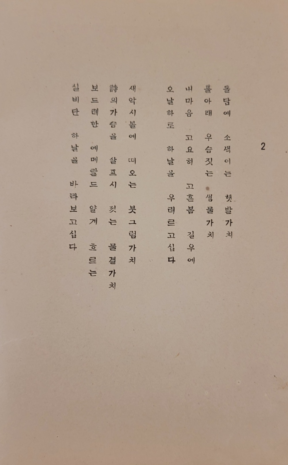 「내 마음 고요히 고흔 봄길 우에」 / 사진. ©김기태