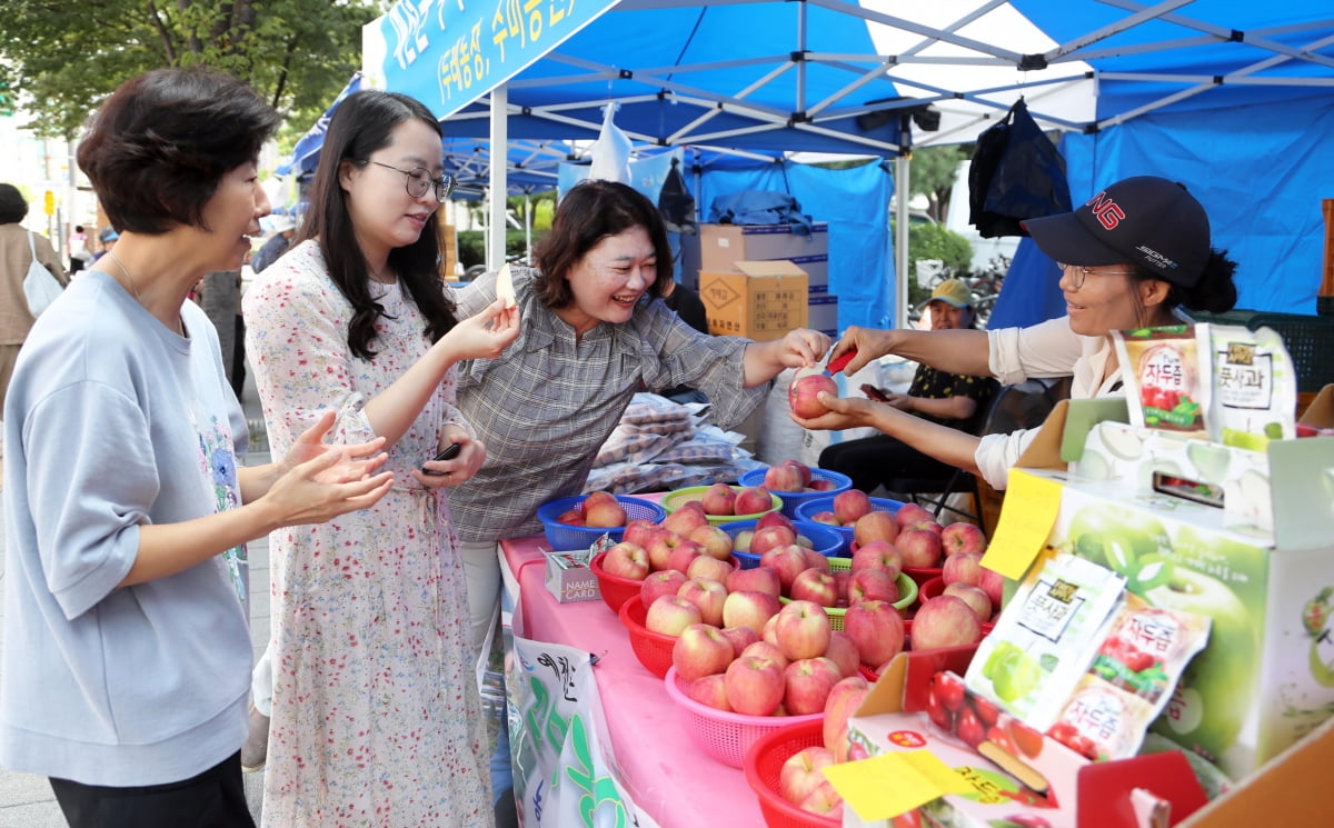 송파구, 추석 맞아 직거래장터 운영