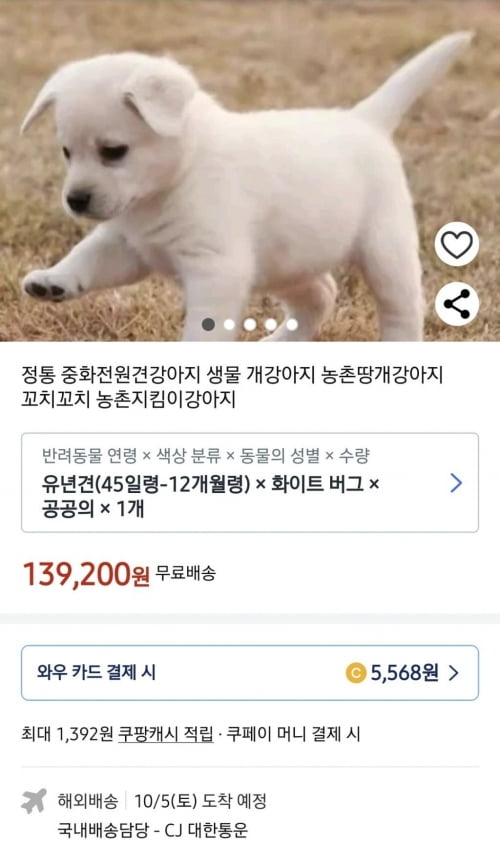 사진 = 해당 페이지 캡처 